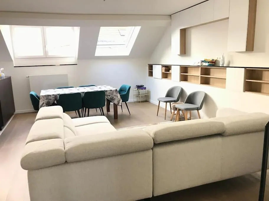 Duplex Avec Terrasse Quartier Europeen contacts